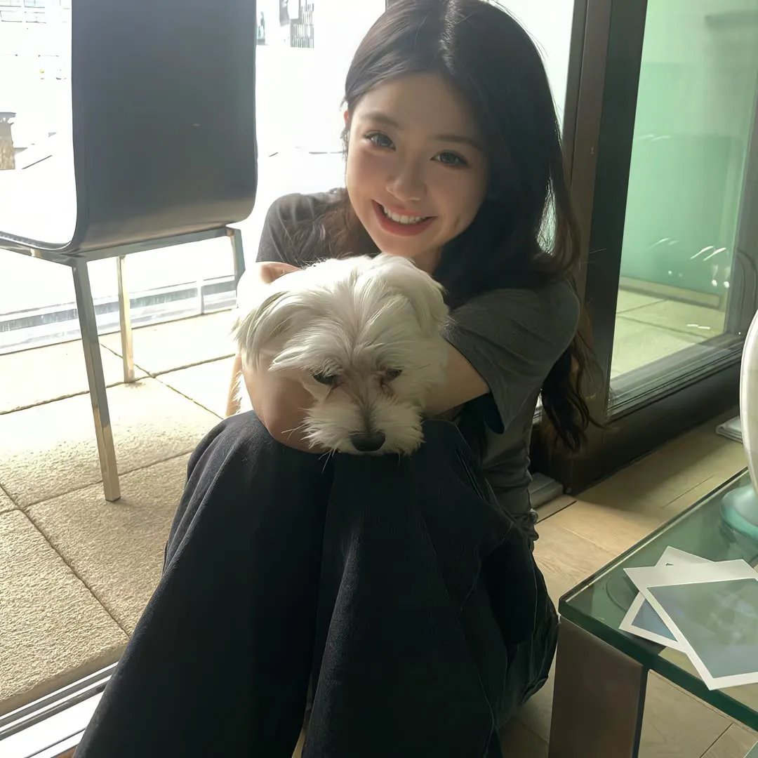 菜鸟新编剧